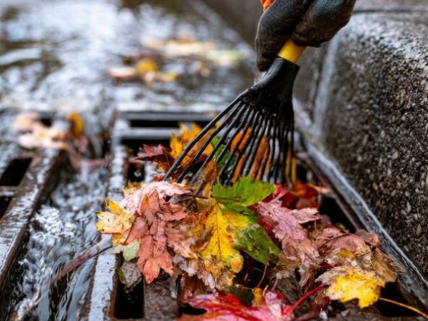 gloved-hand-clearing-wet-autumn-leaves-from-storm-drain-grate-with-rake_108855-10391